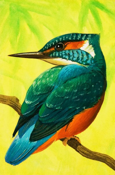 Kingfisher. da Bob Hersey