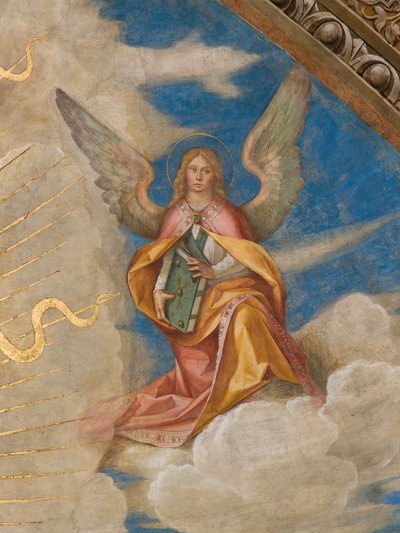 Abside, Catino absidale, Pantocratore tra i Santi Marcellino, Imerio, Omobono, Pietro Esorcista (dettaglio angelo destro) da Boccaccio Boccaccino