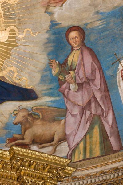 Abside, Catino absidale, Pantocratore tra i Santi Marcellino, Imerio, Omobono, Pietro Esorcista (dettaglio San Omobono) da Boccaccio Boccaccino