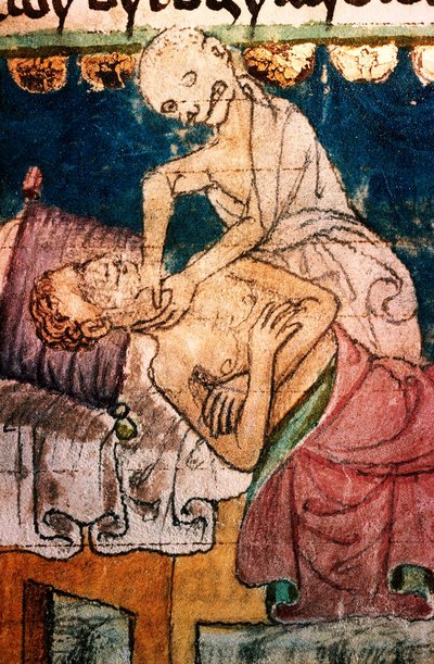 La morte strangola una vittima della peste - Miniatura estratta dal codex Stini, Boemia da Bohemian School