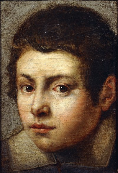 La testa di un ragazzo da Bolognese School
