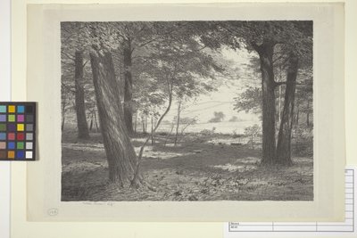 Bordo del bosco da Bolton Coit Brown