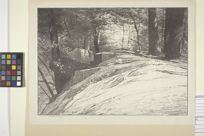 Rocce e alberi da Bolton Coit Brown