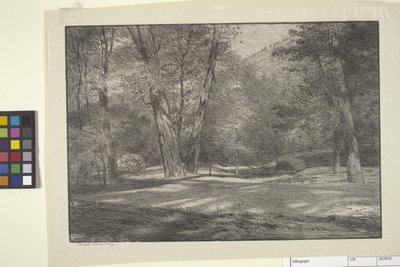 Boschi della Sierra da Bolton Coit Brown