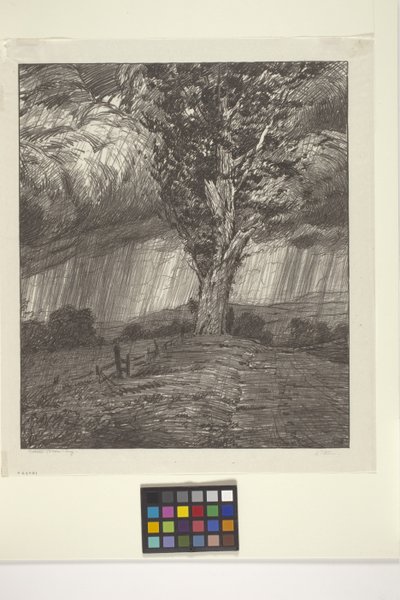 Tempesta da Bolton Coit Brown
