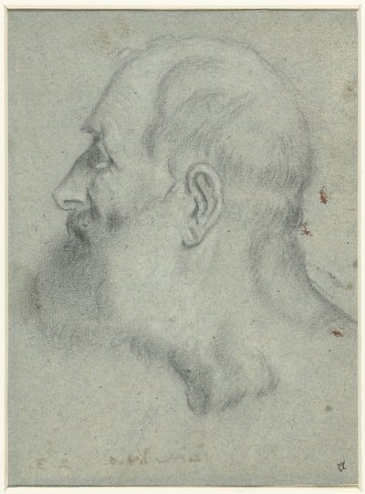 Testa di uomo con barba, di profilo a sinistra da Bonifazio Veronese (attributed to)