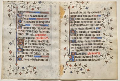 Bifolio di un Libro d