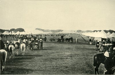 Il campo del viceré all