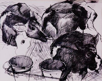 Vitelli, umidi, neonati, 1978 da Brenda Brin Booker