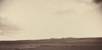 Vista dei campi con mucche da British 19th Century