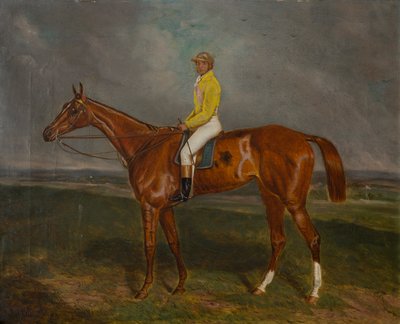 Un cavallo da corsa castano con fantino, c.1860-90 da British School