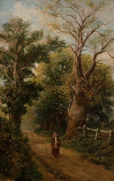 Strada di campagna, forse Church Lane, Allesley, c.1880 da British School
