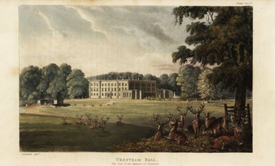Branco di cervi davanti a Trentham Hall da British School