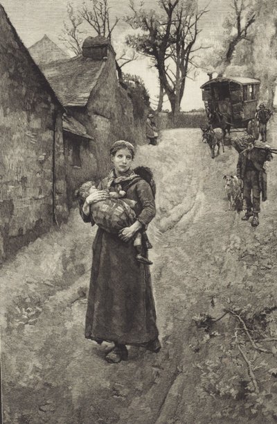 Povera Vedova di Campagna da British School