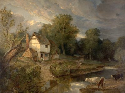 Colline di Ringland, Costessy, Norwich da British School