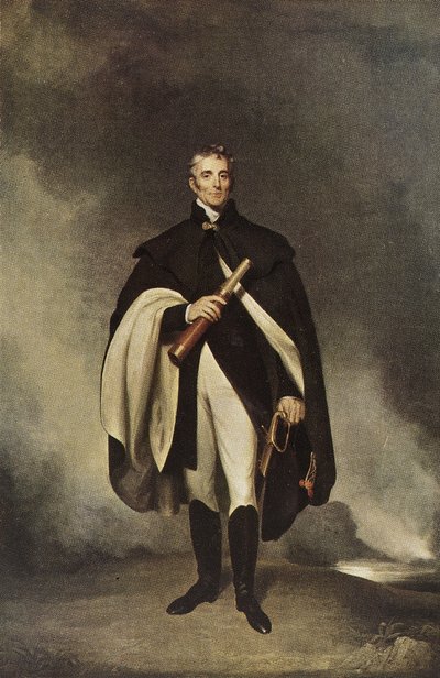 Il Duca di Wellington K. G., fine XVIII - XIX secolo da British School