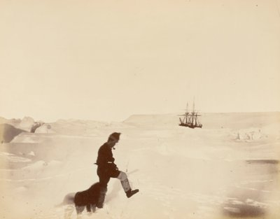 Quartieri invernali dell
