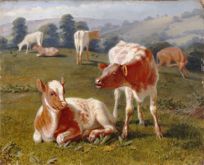 Vitelli in un prato da Briton Riviere