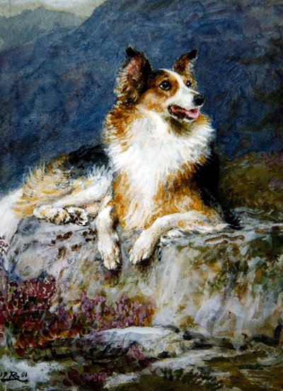 Collie in un paesaggio da Briton Riviere