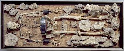 Tomba femminile riccamente dotata da Molzbach bei Huenfeld da Bronze Age