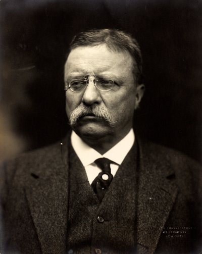 Theodore Roosevelt, c.1915 da Brothers Pach