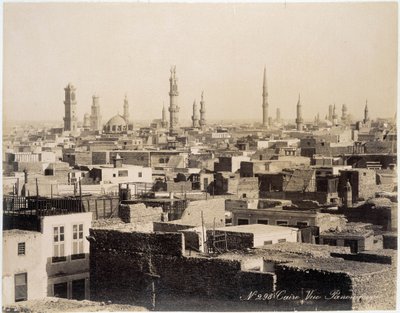 Vista dei tetti del Cairo - fotografia dei Fratelli Zangali, fine XIX secolo da Brothers Zangaki