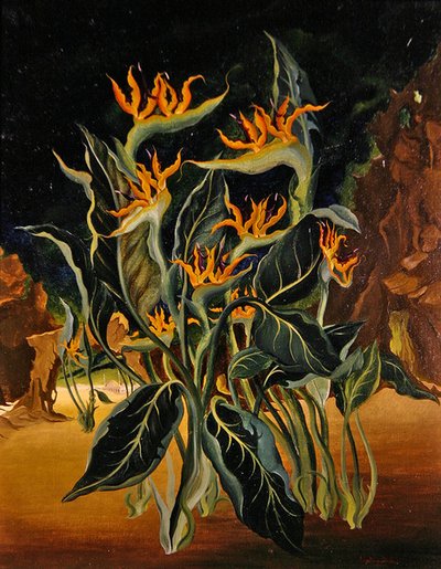 Fiori strani da Bruce Hollingsworth