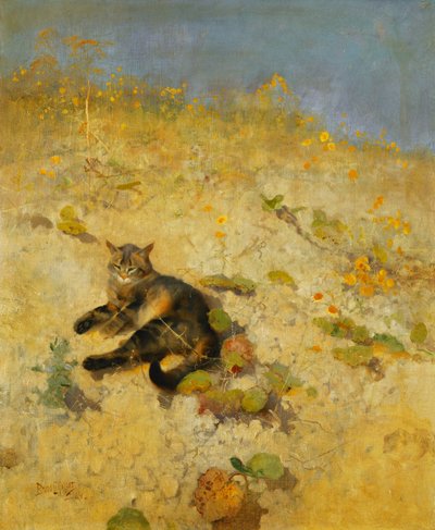Un gatto che si crogiola al sole da Bruno Andreas Liljefors