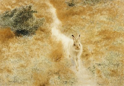 Una lepre invernale in un paesaggio da Bruno Andreas Liljefors