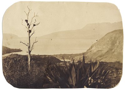 Lago e Monte Tarawera da Te Wairoa, 1860 da Bruno Hamel