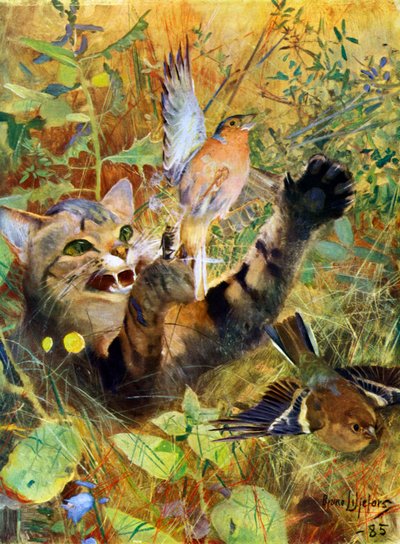 Un gatto e un fringuello, 1885-1945 da Bruno Andreas Liljefors