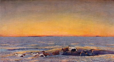 Alba, 1896 da Bruno Andreas Liljefors