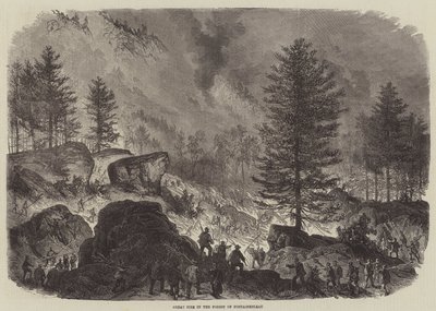 Grande incendio nella foresta di Fontainebleau da Burn Smeeton