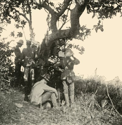 Albero da cui il Capitano Paget...Vide...Battaglia di San Juan, Guerra ispano-americana, giugno 1898, 1899 da Burr McIntosh