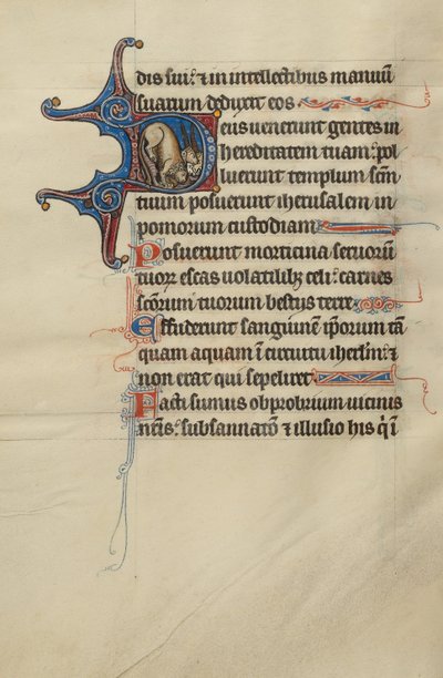 Iniziale D: Un leone e gli unicorni da Bute Master