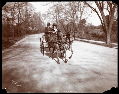 Anna Held e Florenz Ziegfeld in carrozza a cavalli, New York, 1904 da Byron Company
