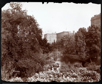 Central Park con vista sugli hotel Savoy e Plaza, 5th Avenue e 59th Street, New York, c.1896-98 da Byron Company