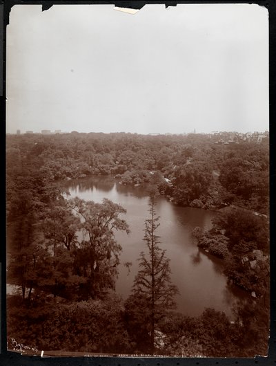 Vista di Central Park dal 4° piano del Plaza Hotel, 5th Avenue e 59th Street, 1907 da Byron Company