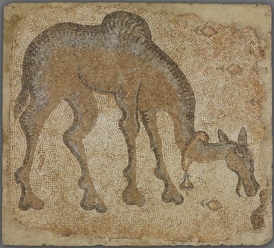 Frammento di mosaico con cammello al pascolo da Byzantine
