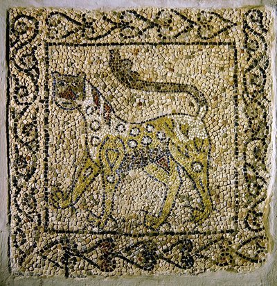 Pantera maculata, 1213 da Byzantine
