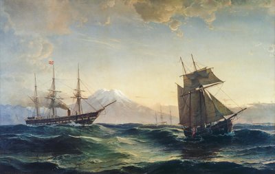 Navi al largo della costa dell