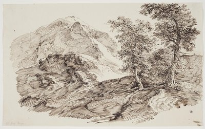 Paesaggio montano con alberi da C.F. von Rumohr