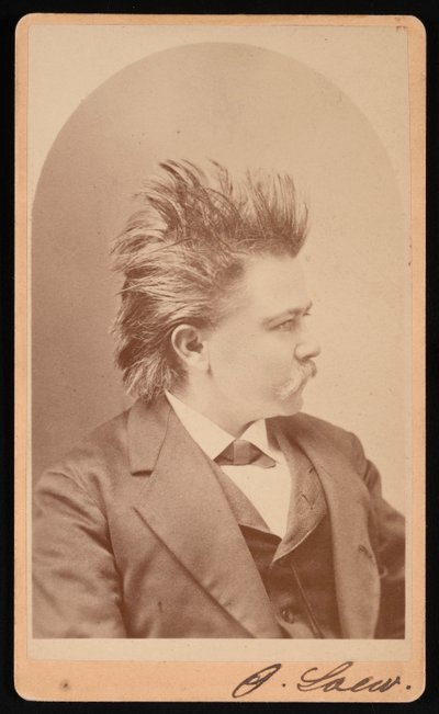 Ritratto di Oscar Loew, circa 1876 da CH McCallister