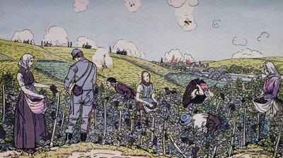 I nostri viticoltori raccolgono sotto il fuoco, la vendemmia nella regione della Champagne nel 1914, Prima Guerra Mondiale da J.B. and Brown J. Rowbotham
