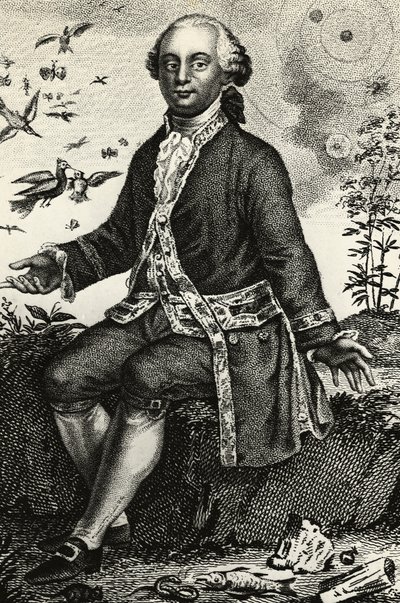 Ritratto di Georges-Louis Leclerc de Buffon (1707-1788), naturalista e matematico francese, incisione da J.B. and Brown J. Rowbotham