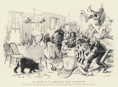 Un episodio nella sala da pranzo di un hotel Adirondack da C.J. Taylor