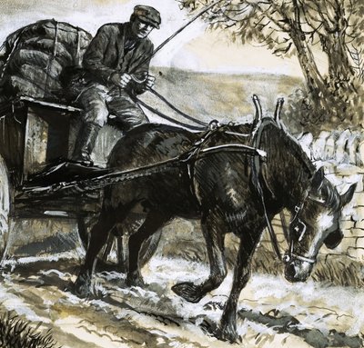 I cavalli erano sottoalimentati e sovraccarichi di lavoro da C.L. Doughty