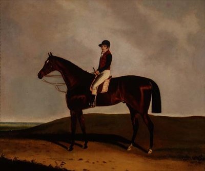 Un cavallo da corsa baio da C. Markham