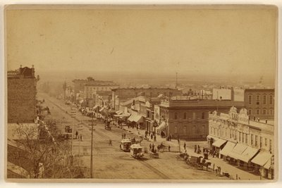 [West Side Main St., Salt Lake City Utah] da C. R. Savage
