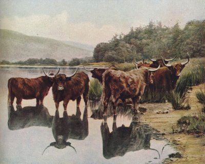 Scozia, c1930s da C. Reid